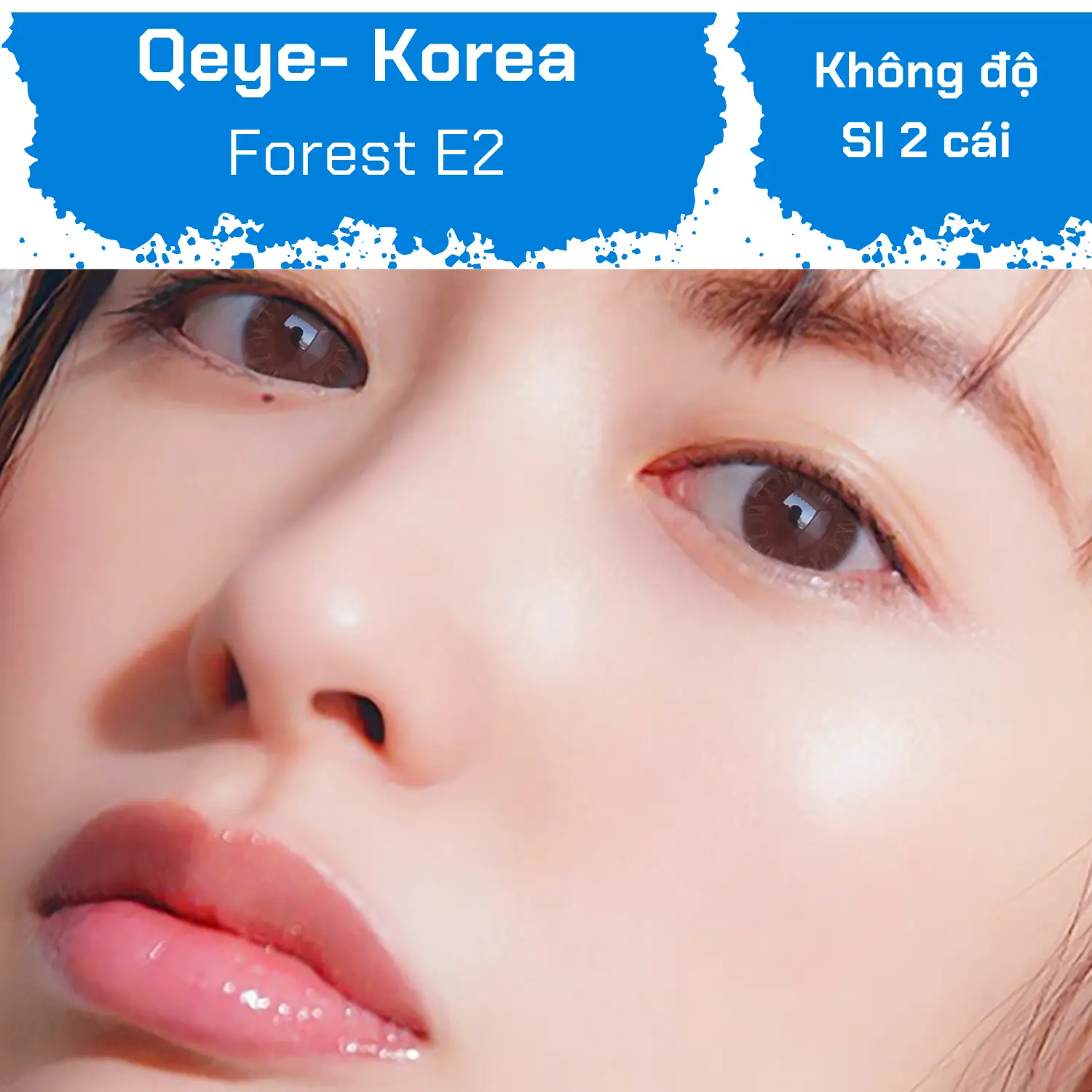 Forest E2 ( Không độ ) — Ảnh nhỏ 8