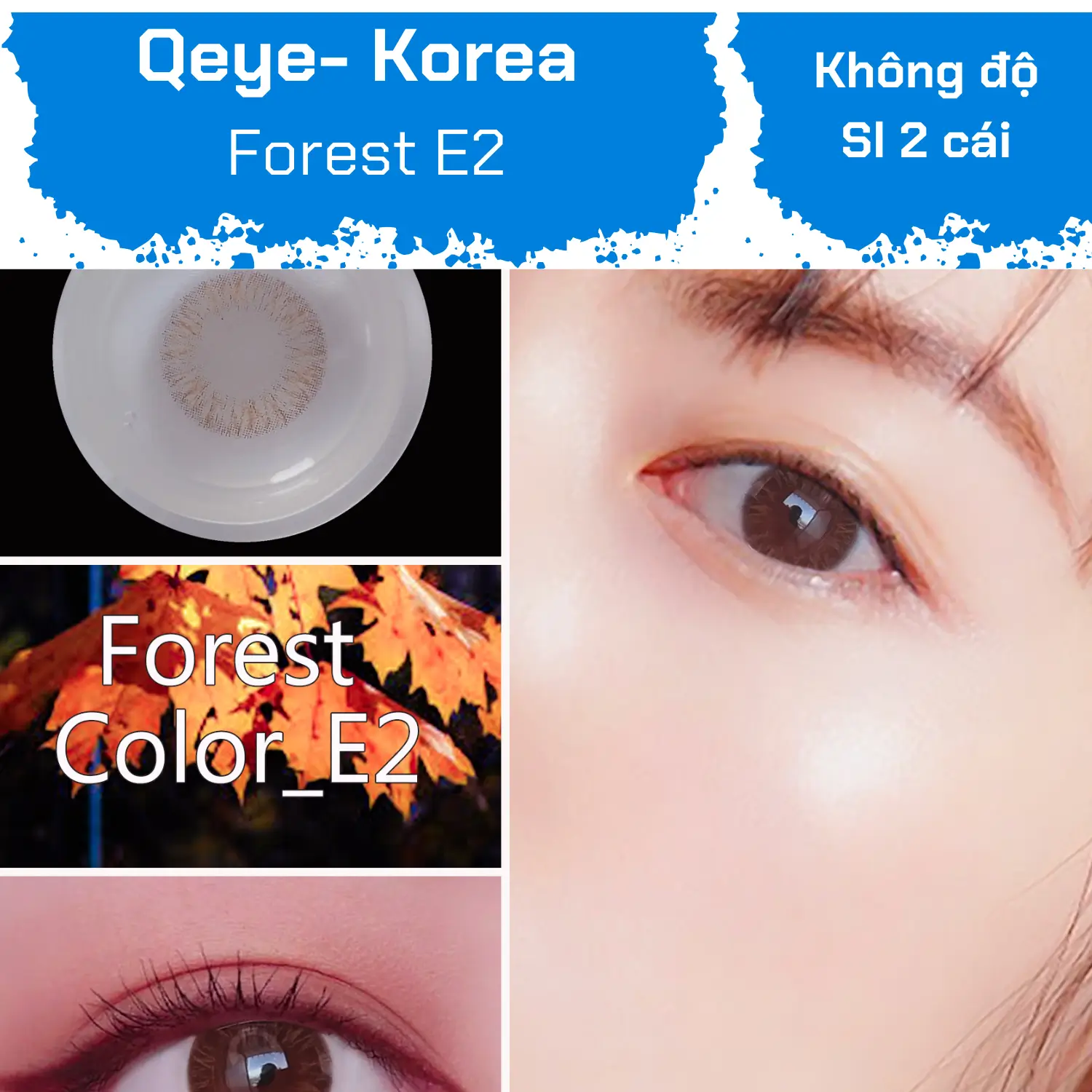 Forest E2 ( Không độ ) — Ảnh nhỏ 9