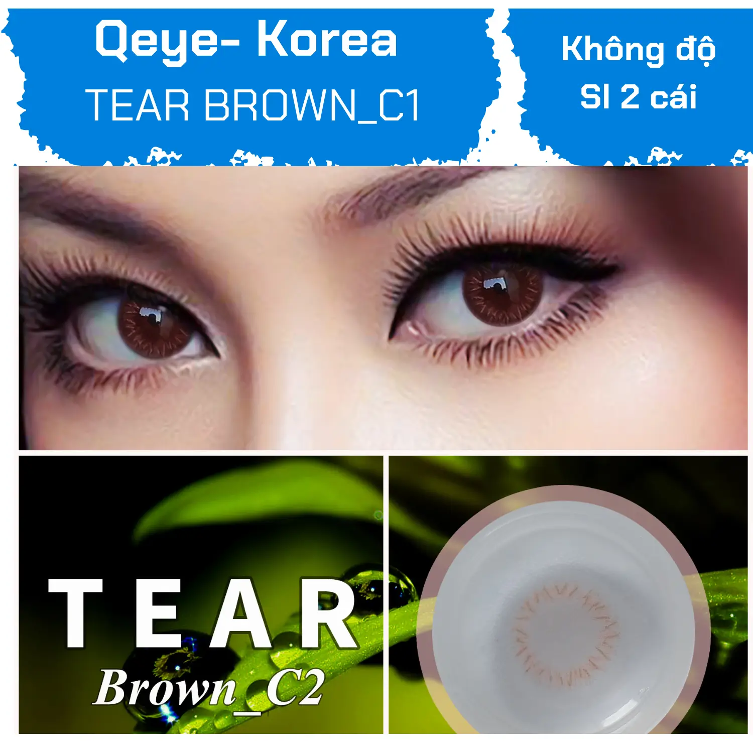 Forest E2 ( Không độ ) — Ảnh nhỏ 3