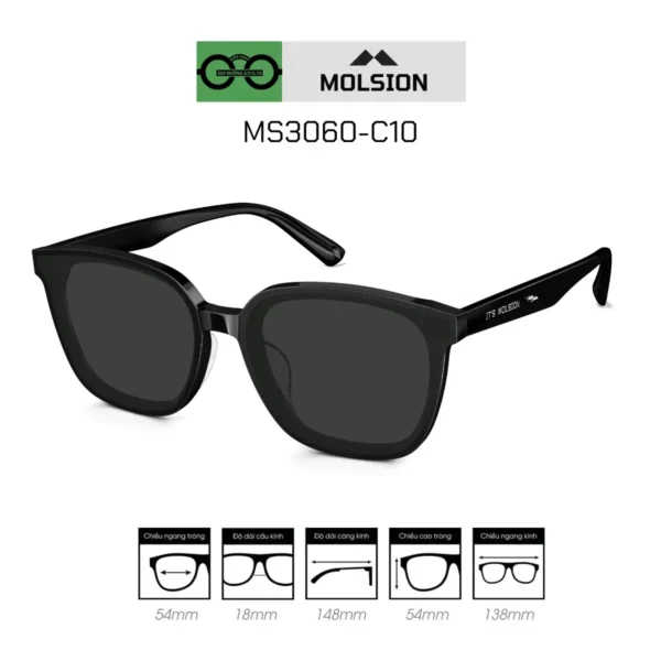 Kính Mát Molsion MS3060-C10