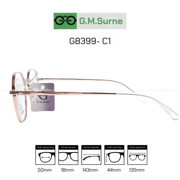 Gọng G.M.Surne 8399 - C1 - Hình ảnh 2