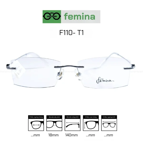 Gọng Kính Khoan Femina F110-T1 - Hình ảnh 3