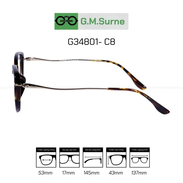 Gọng G.M.Surne G34801- C8 - Hình ảnh 2